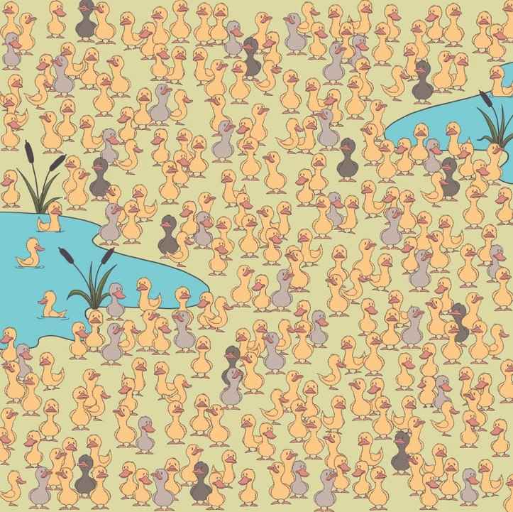 Le mystère et l'essentiel