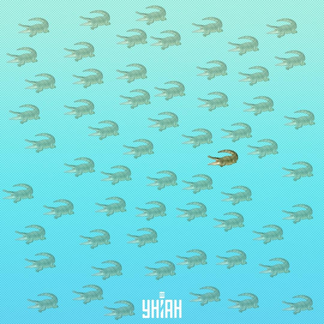 Il aurait dû se trouver plus près du centre, sur le côté droit / Moje Collage