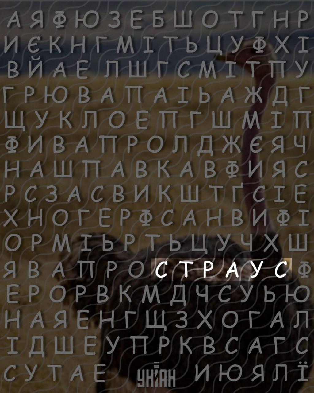 Seules les personnes dotées d'un QI élevé peuvent trouver le mot 