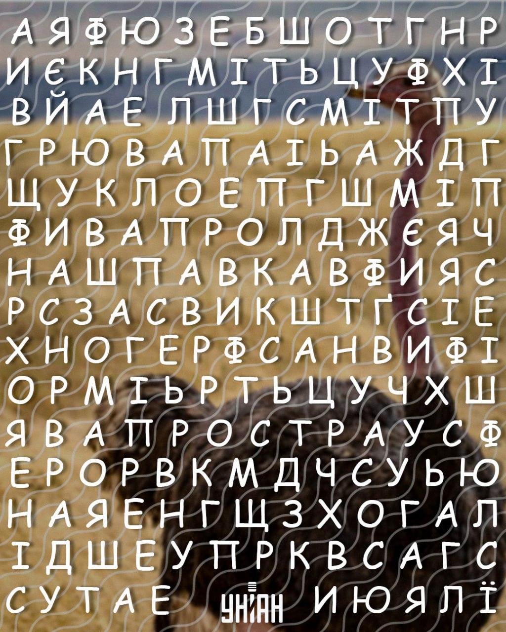 Seules les personnes dotées d'un QI élevé peuvent trouver le mot 