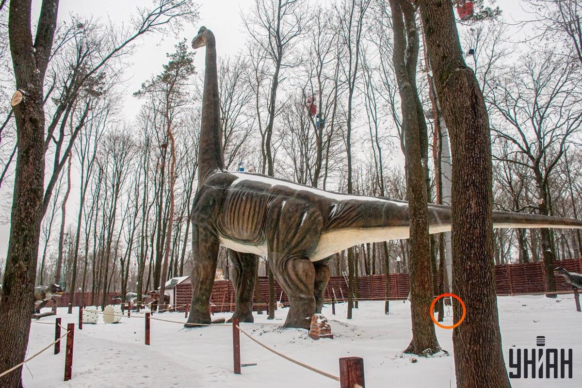 Le chien se trouvait dans le coin inférieur gauche de la photo / collage de l'Moje