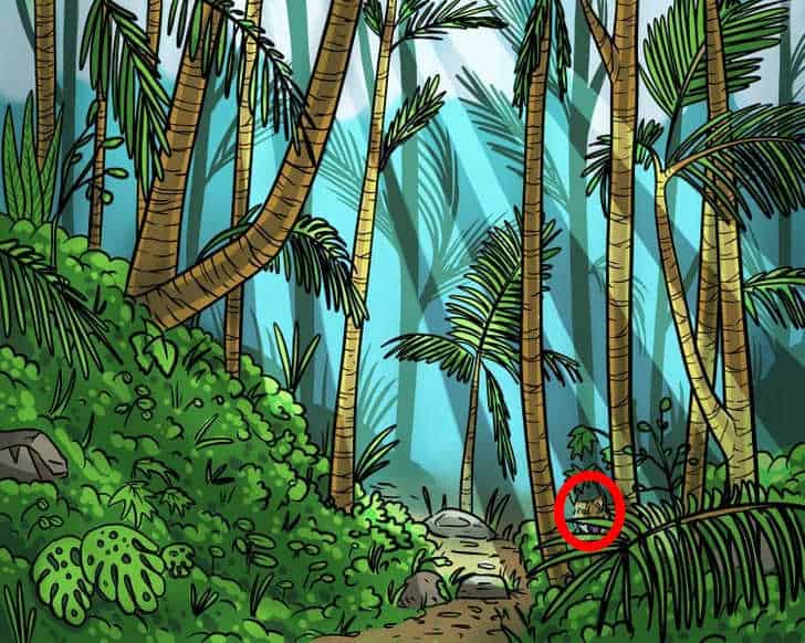 Illusion d'optique pour unicums : vous devez trouver un tigre dans la forêt en 9 secondes