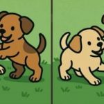 Test de QI : trouver 3 différences dans les photos de deux chiots en 51 secondes Test de QI : trouver 3 différences dans les photos