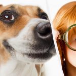 Seul un véritable titan du QI verra un chien dans la neige en 10 secondes : une illusion d'optique à couper le souffle Seul un véritable titan du QI verra un chien dans