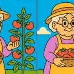 Test de QI : trouver 3 différences dans les photos d'une vieille dame en 51 secondes Test de QI : trouver 3 différences dans les photos